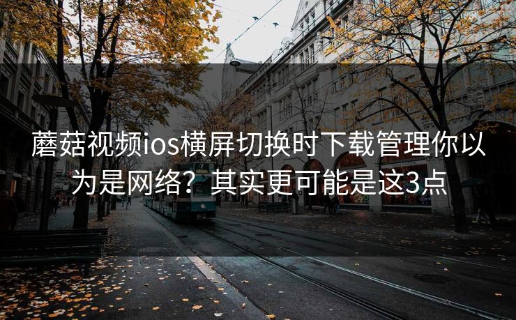 蘑菇视频ios横屏切换时下载管理你以为是网络?其实更可能是这3点 第1张 蘑菇视频ios横屏切换时下载管理你以为是网络?其实更可能是这3点 第1张